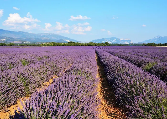 Entre Les Alpilles Et Le Luberon 3 Chambres 10 Pers