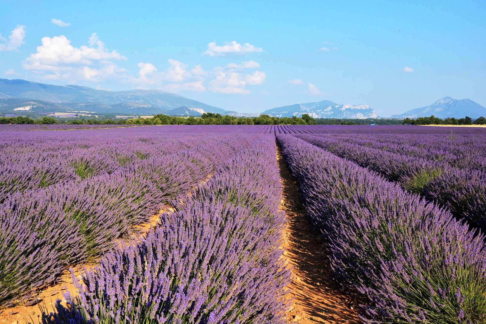 Entre Les Alpilles Et Le Luberon 3 10 Pers Holiday home Cavaillon